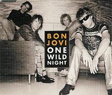 220px-Bon_jovi-one_wild_night_-2001-_s_1