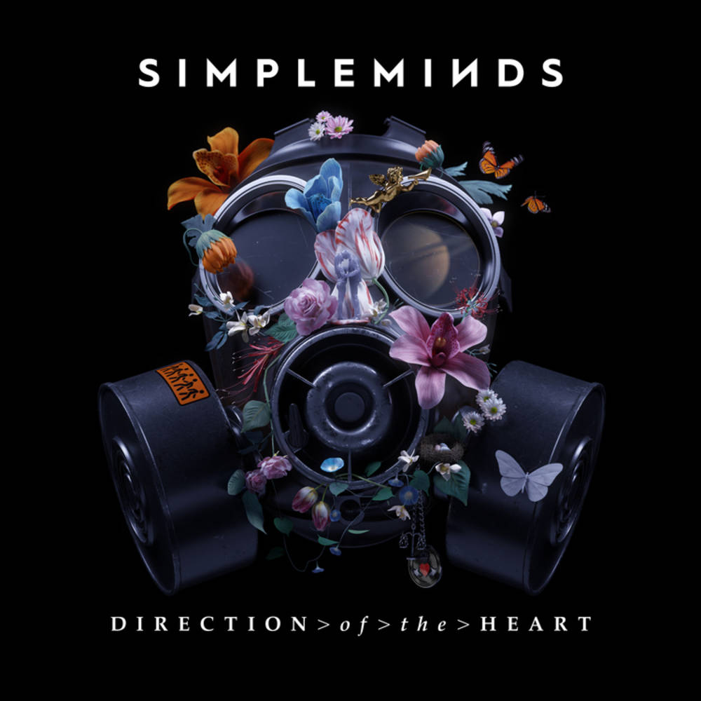 Direction of the heart