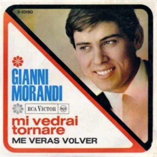 Mi vedrai tornare / La fisarmonica