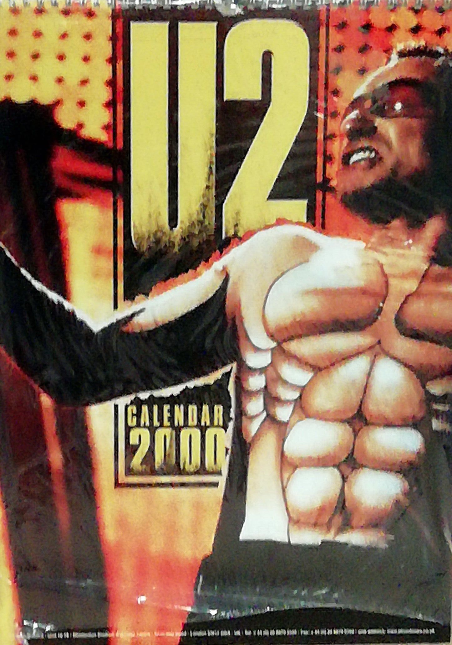 U2 Calendar 2000