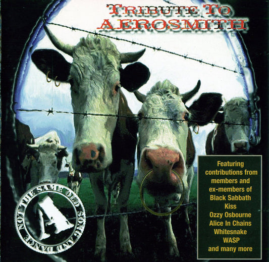 Tribute to Aerosmith