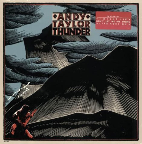 andy taylor lp thunder