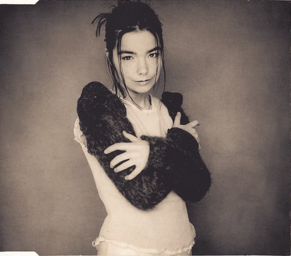 bjork cds human behaviour