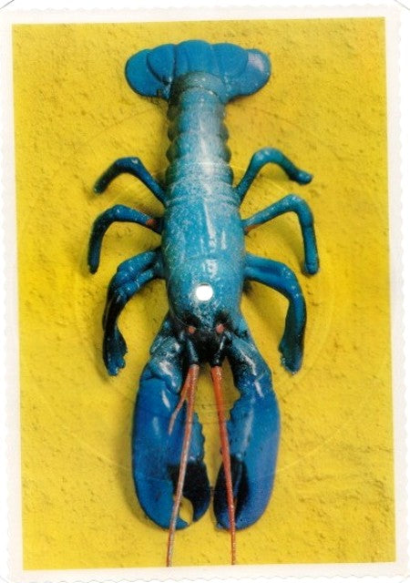b52 rock lobster