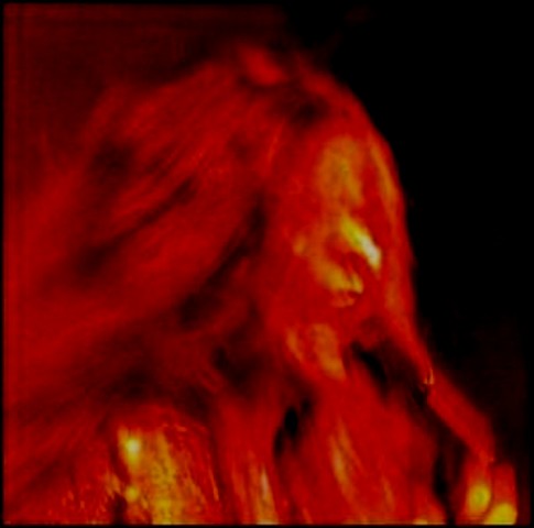 joplin i got ol kozmic lp