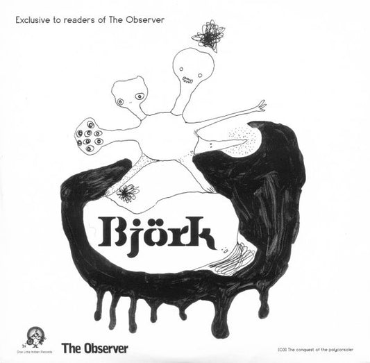 bjork the observer