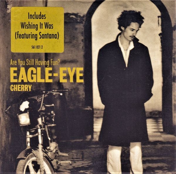 eagle eye cherry are you still having fun