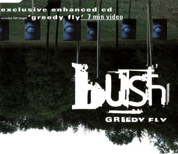 bush cds greedy fly