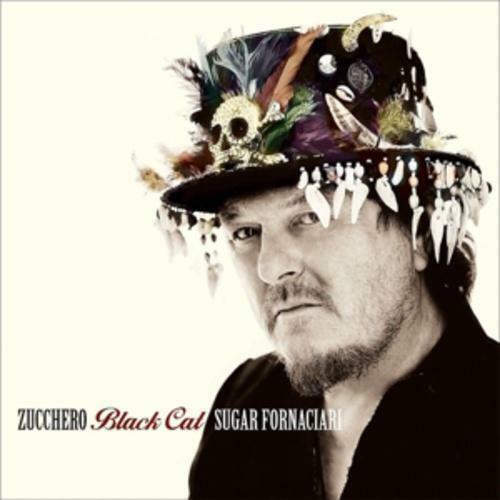 zucchero cd black cat