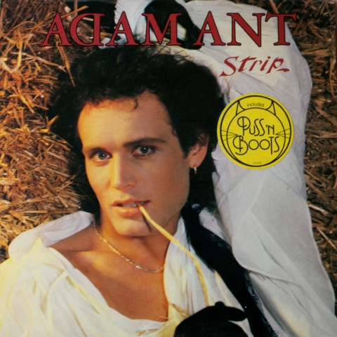 adam ant lp strip