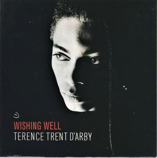 terence trent d'arby wishing well