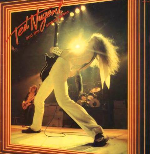 Ted Nugent And The Amboy Dukes lp
