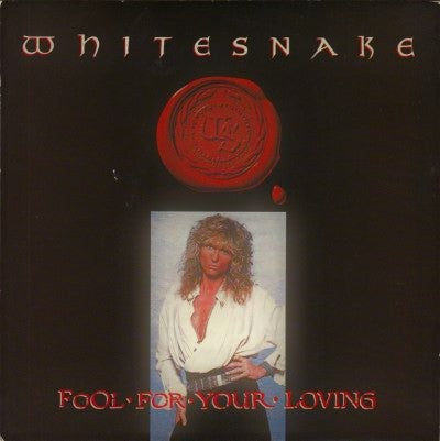 Fool for your loving