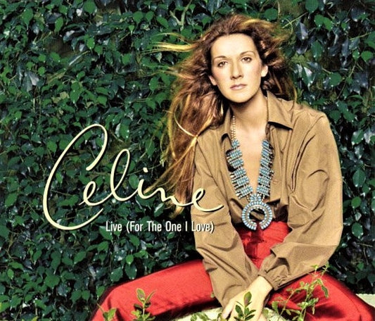 celine dion live for the one i love