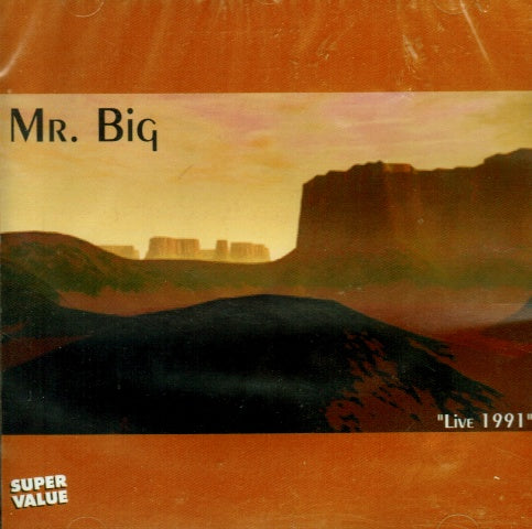 mr big live 1991