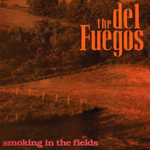 the del fuegos lp smoking in the fields